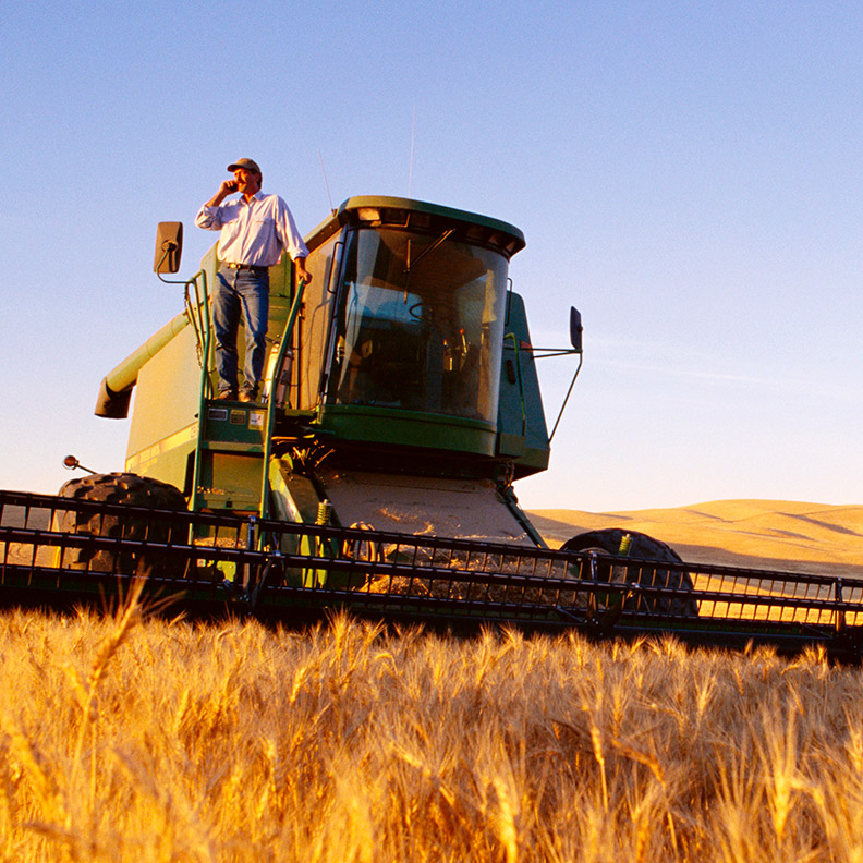 Farmer Harvesting OnPhone 792x792